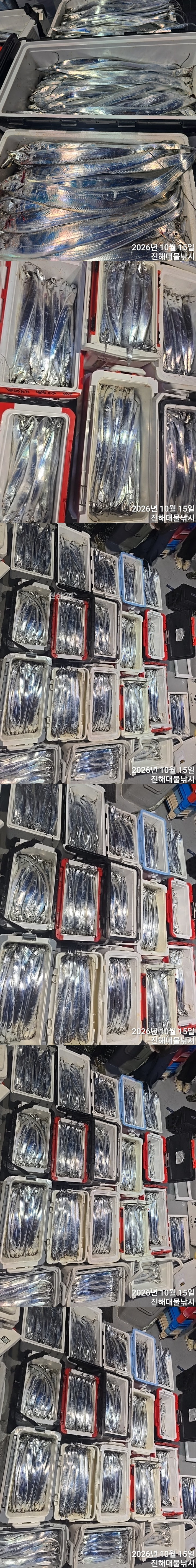 칼치5.jpg
