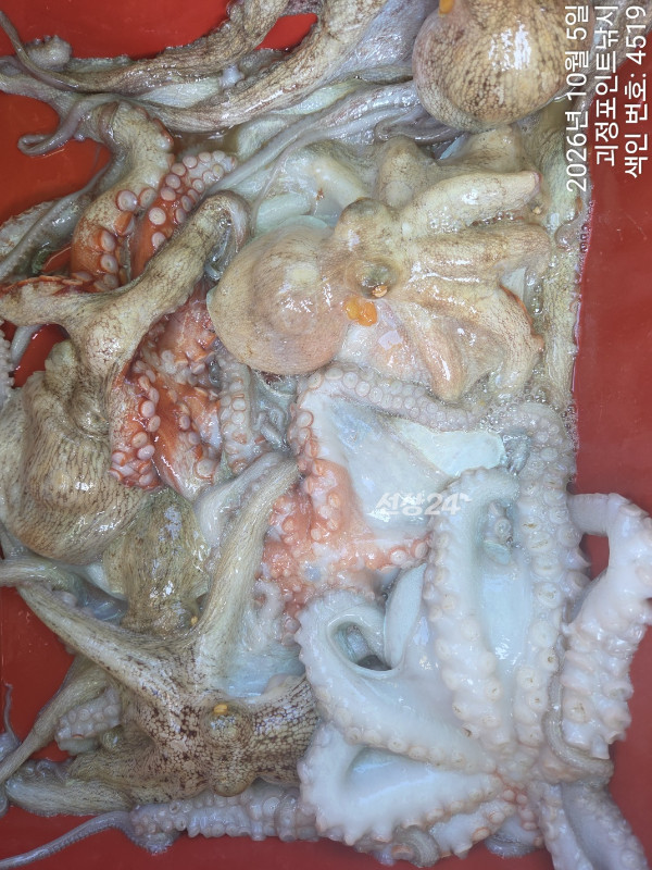 KakaoTalk_20261005_172649510_09.jpg