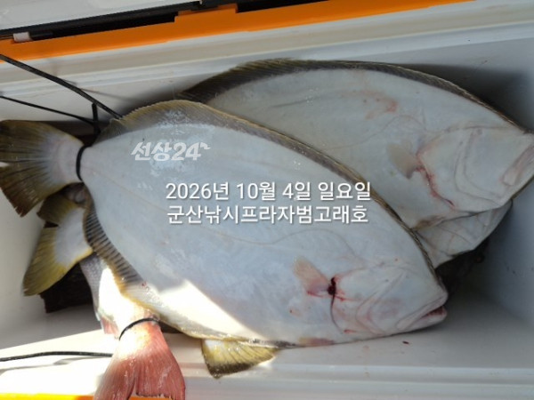KakaoTalk_20261004_155855857_04.jpg