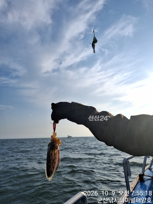 KakaoTalk_20261010_022239834_12.jpg