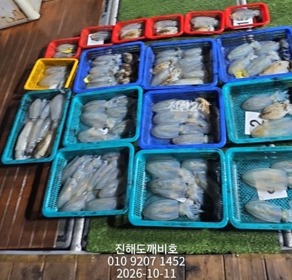 9162.jpg