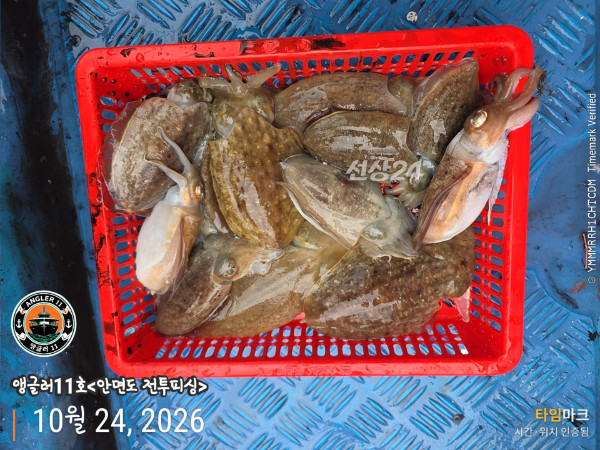 KakaoTalk_20261024_201701585_01.jpg