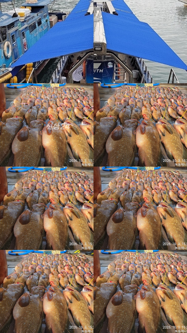 51074.jpg