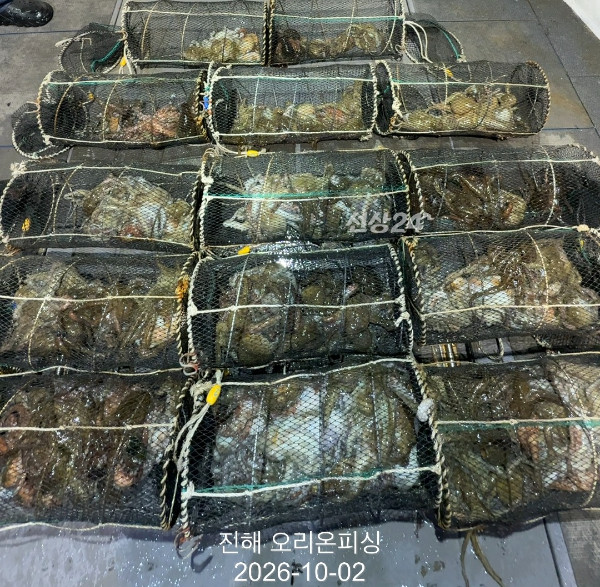 KakaoTalk_20261002_021659095.jpg