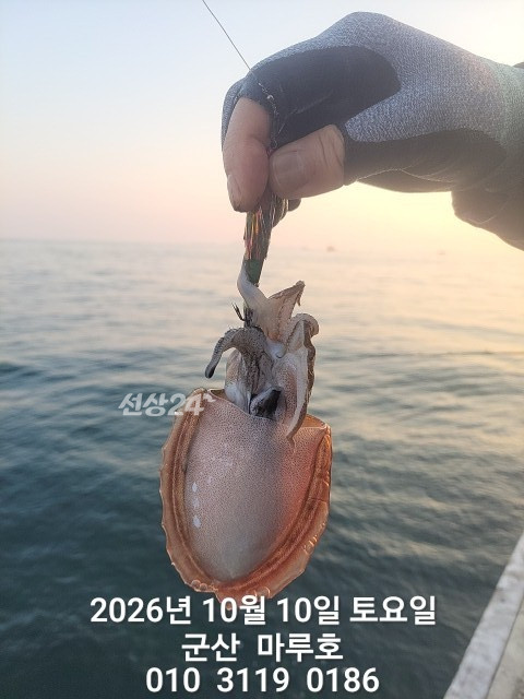 KakaoTalk_20261010_161323627_06.jpg