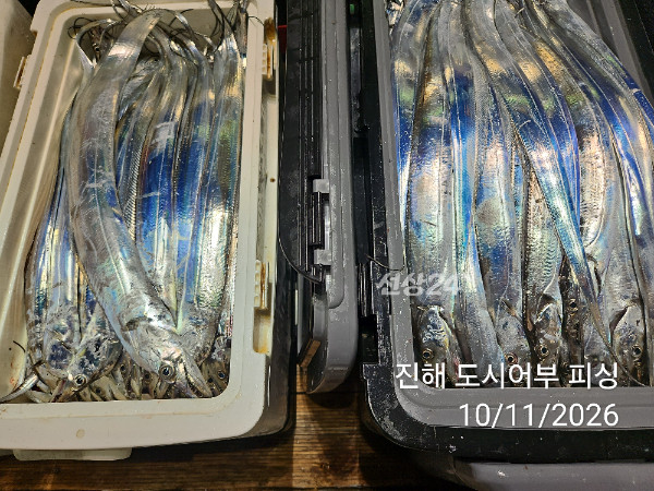 KakaoTalk_20261011_050252101_14.jpg