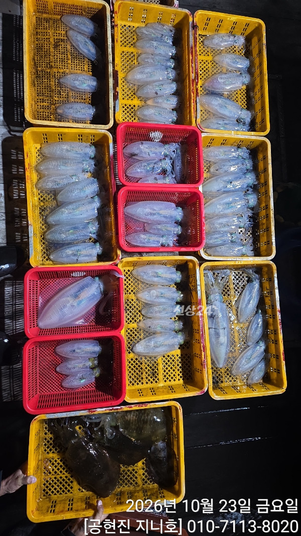 20061.jpg