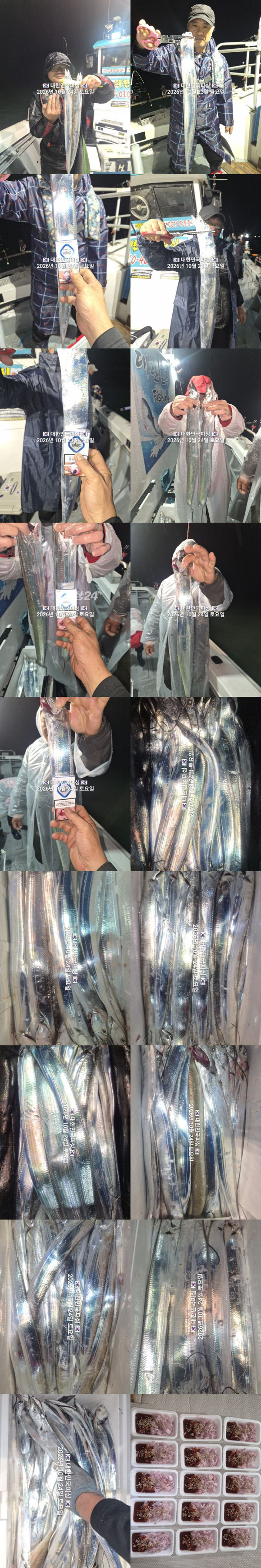 갈치1.jpg
