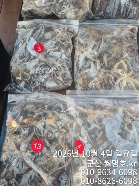 18115.jpg