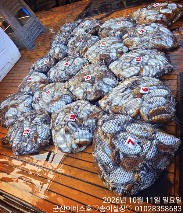 1000031694.jpg