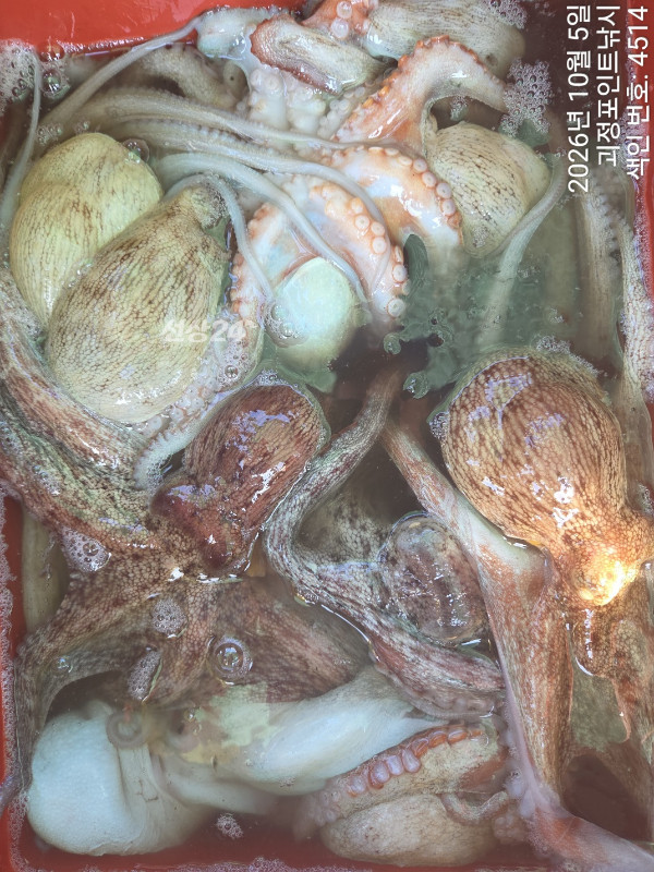 KakaoTalk_20261005_172649510_13.jpg