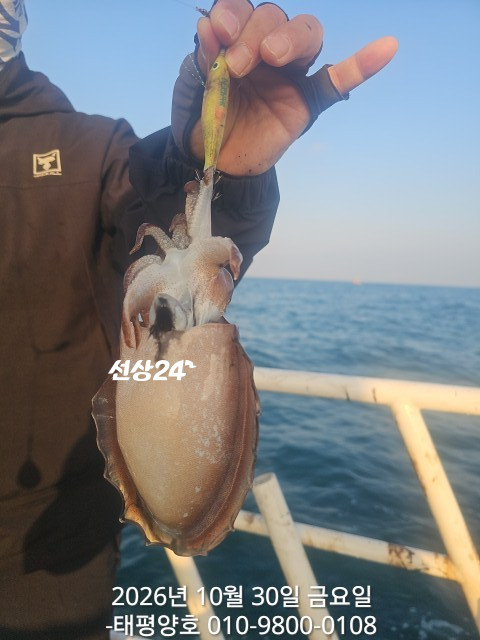 KakaoTalk_20261031_140133142_05.jpg