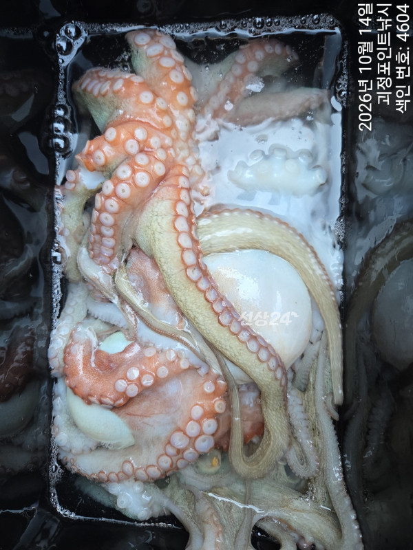 KakaoTalk_20261014_153240794_07.jpg
