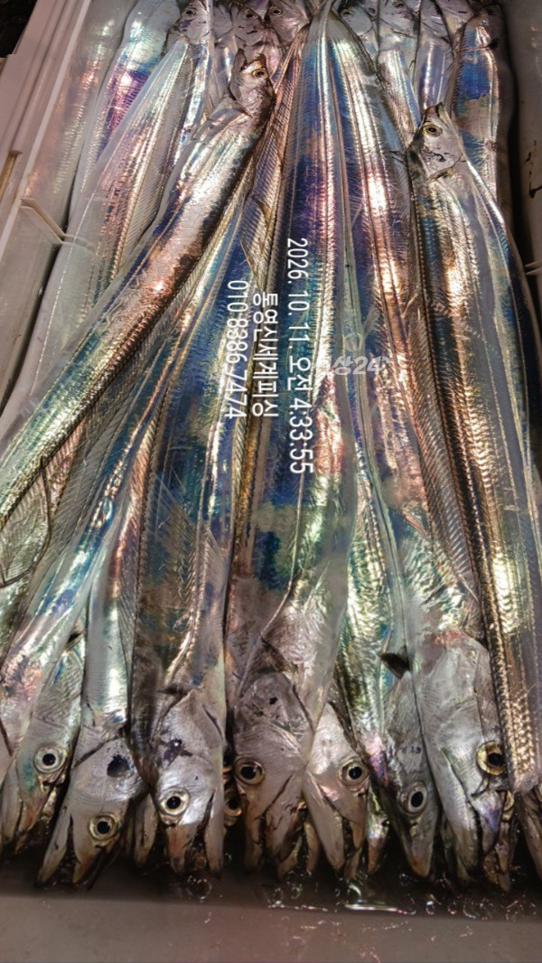 1791666134724.jpg