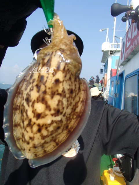 203.JPG