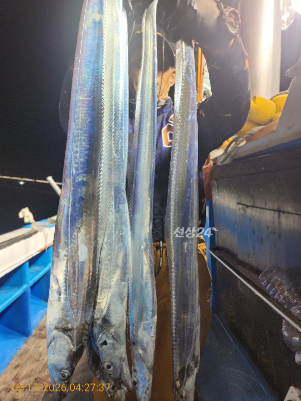 KakaoTalk_20261017_201309463_06.jpg