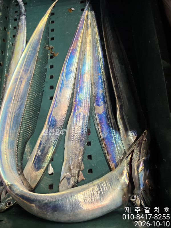 68847.jpg