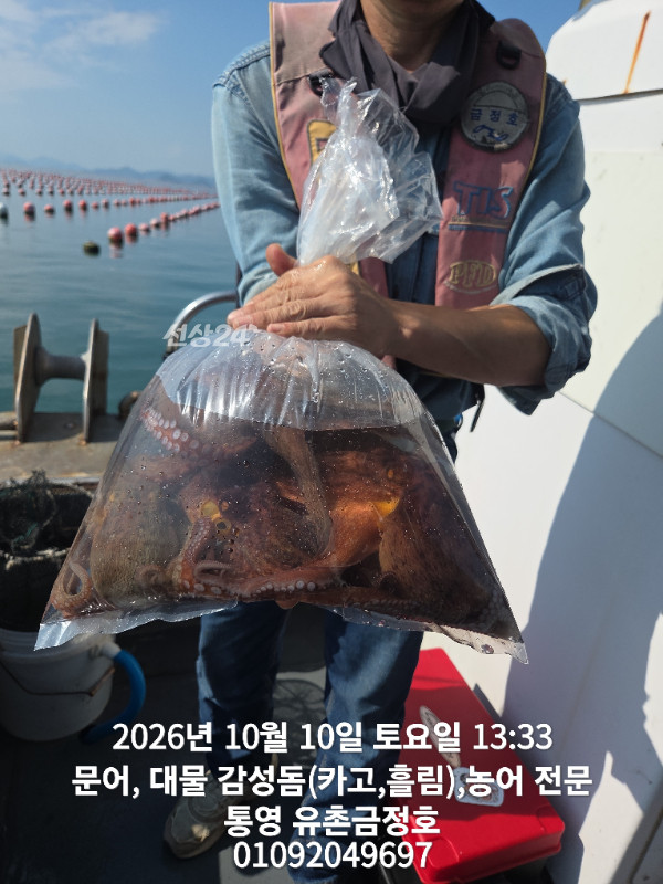1000062432.jpg