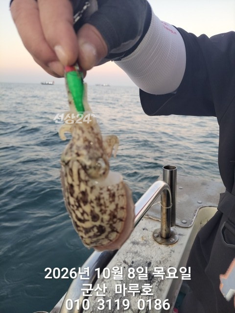 KakaoTalk_20261008_161016845_15.jpg