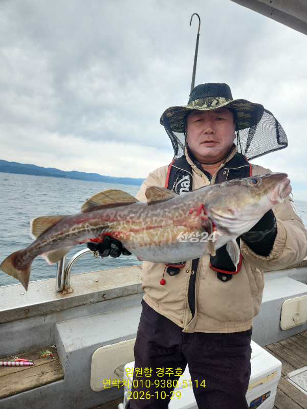 1000050784.jpg