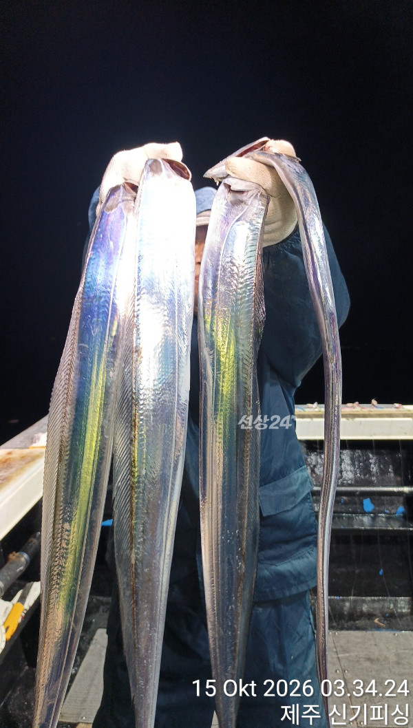 KakaoTalk_20261015_150833366_08.jpg