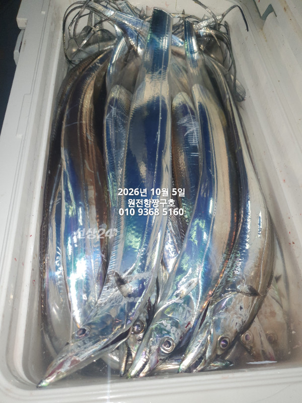 KakaoTalk_20261005_051425255_17.jpg