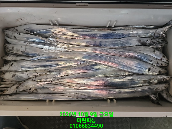 KakaoTalk_20261009_072903916_20.jpg