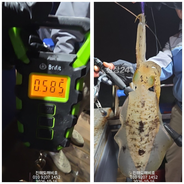 9585.jpg