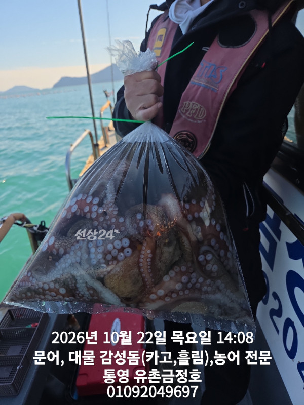 1000063029.jpg