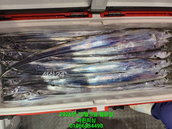 KakaoTalk_20261005_132543972_19.jpg