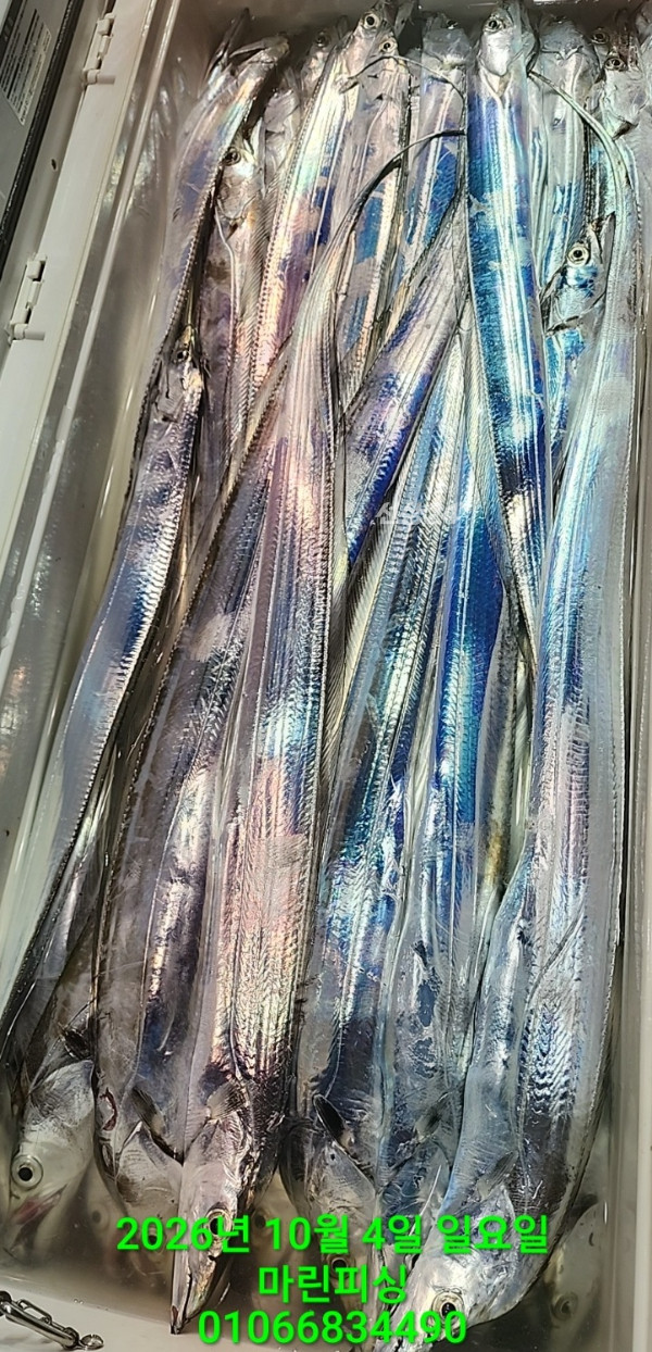 KakaoTalk_20261004_101816492_07.jpg