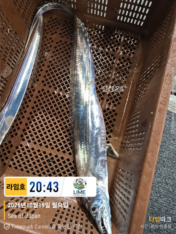 KakaoTalk_20261020_085945175.jpg