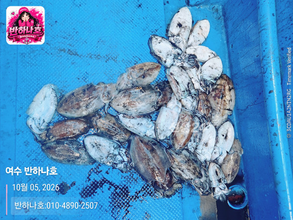 20261005_171001_제목-여수 반하나호_반하나호-010-4890-2507.jpg