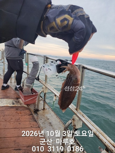 KakaoTalk_20261003_092235485.jpg