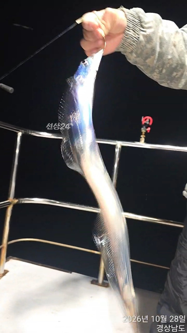 TimeVideo_20261028_201642.jpg