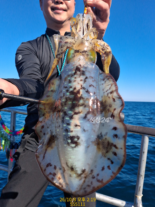 2726.jpg