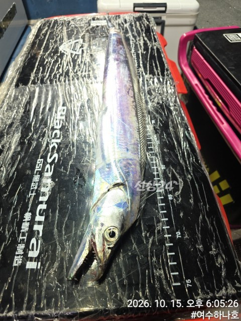 KakaoTalk_20261016_063051148_12.jpg
