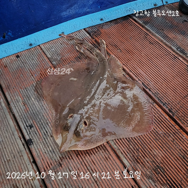 1000018889.jpg