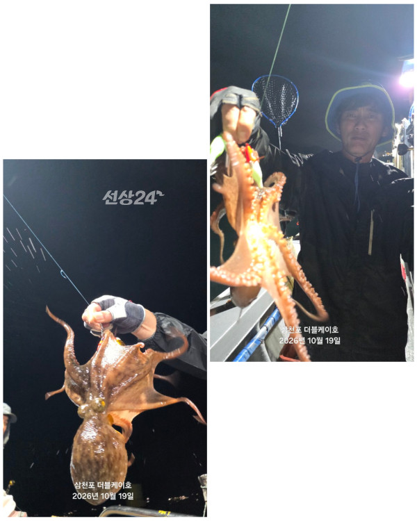 GridArt_20261020_111529151.jpg