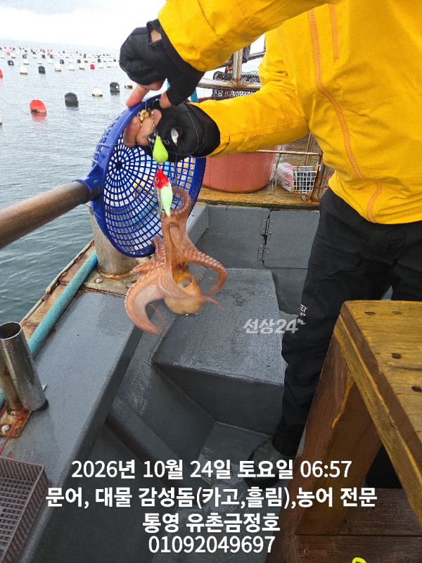 1000063141.jpg