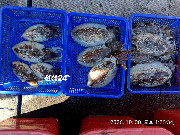 723F01FD-40A4-45AE-BB23-9BF2D2D4298C.jpeg