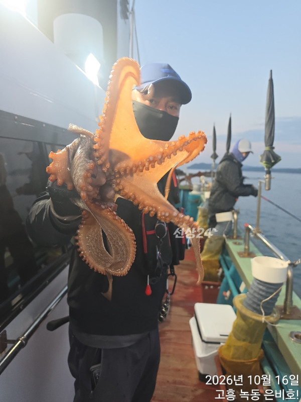 고흥 녹동 은비호!(두족류,돌돔,외수질)_사진_20261017_2.jpg