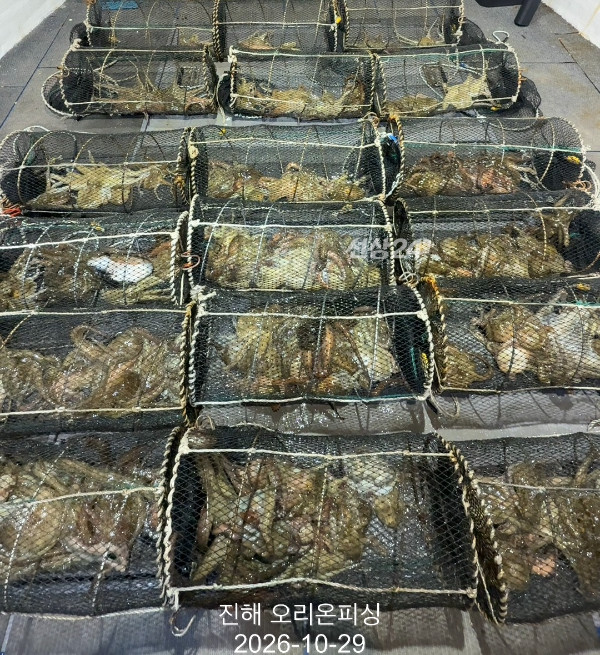 KakaoTalk_20261029_031942892_14.jpg