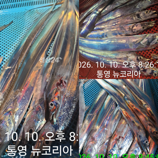 1000087330.jpg
