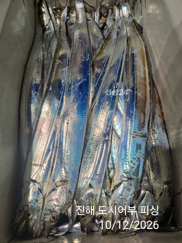 KakaoTalk_20261012_044857632_18.jpg