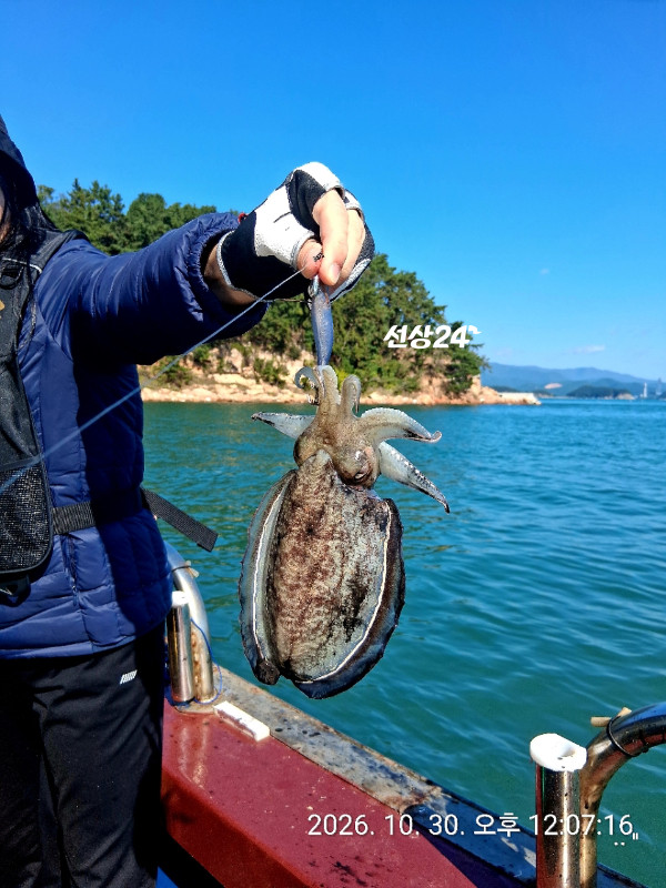 A06EA102-7776-4E5B-B673-8916C870D9EF.jpeg