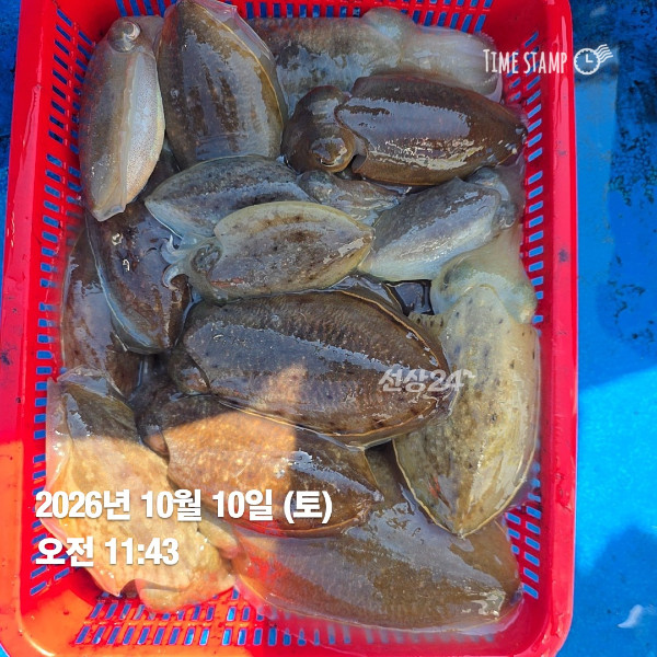 KakaoTalk_20261010_132841901_07.jpg