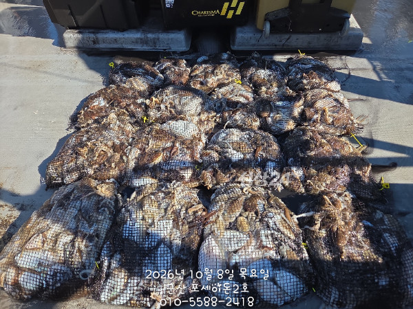 1000043119.jpg