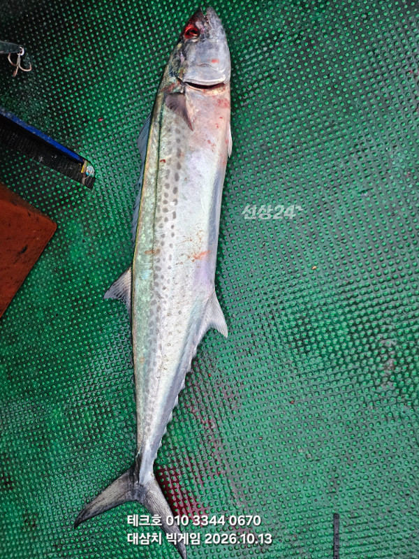KakaoTalk_20261013_080228447_11.jpg