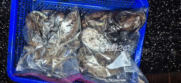1792142338882.jpg